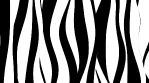 Black and white curvy zebra stripes