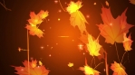 Autumn Leaves Loop 2