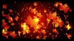 Fall Leaves Particles