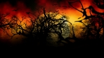 Halloween Night_1