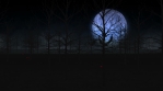 dark forest 1SL