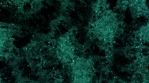 Sparkling green cluster of particles drift in and out