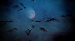 Birds and bats swarming in front of creepy glowing moon, halloween fear paranoia