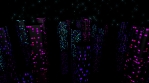 Neon City Light 4K 02