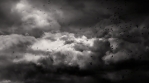 Crows and storm clouds