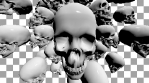 skull jack 8SL