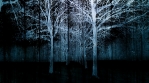 Spooky forest background