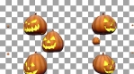 Pumpkin_15