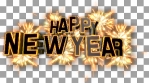 HNY_6