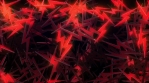 Zap (Thunder) Particles VJ Loop