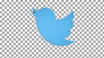 Twitter logo spin