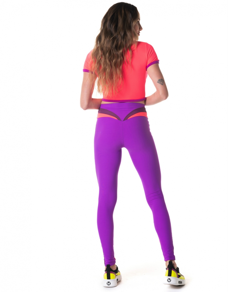 Vestem - Roller Fuchsia leggings - FS1368.I24.C0433