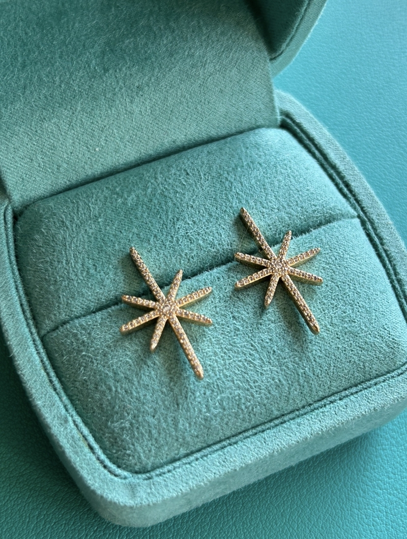 Mikabe - Gold Studded Star Earring - MK1808