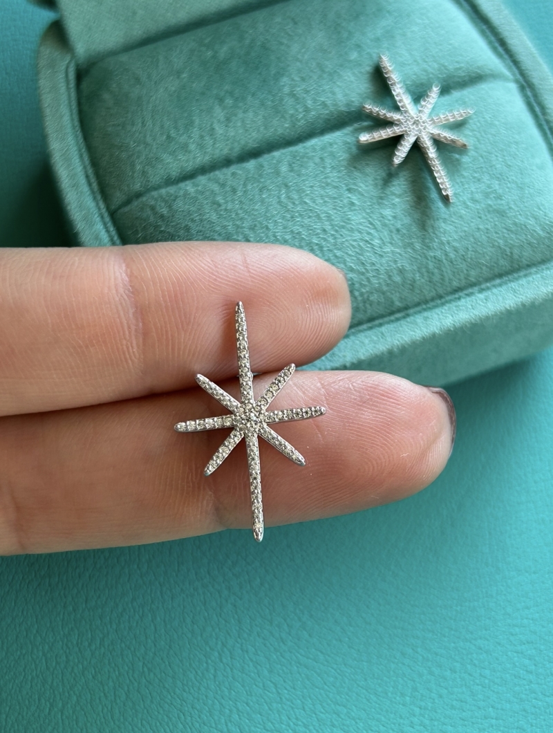 Mikabe - Rhodium Studded Star Earring - MK1809