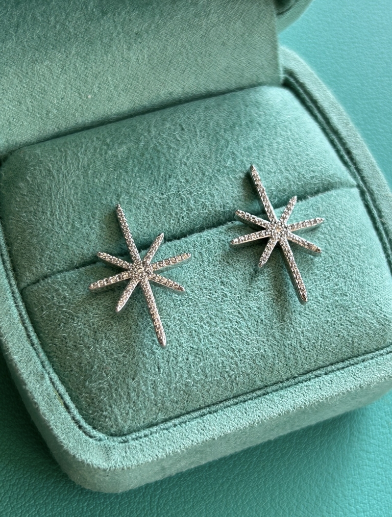 Mikabe - Rhodium Studded Star Earring - MK1809