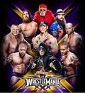 ＷＷＥ　レッスルマニア　３０　ＶＯＬ．３の画像
