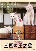 いやし猫ＤＶＤ　猫侍　三匹の玉之丞の画像