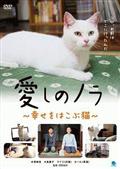 愛しのノラ　～幸せをはこぶ猫～の画像