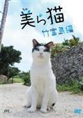 美（ちゅ）ら猫　竹富島編の画像