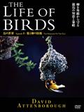 ＴＨＥ　ＬＩＦＥ　ＯＦ　ＢＩＲＤＳ　鳥の世界　巣と卵の防衛の画像