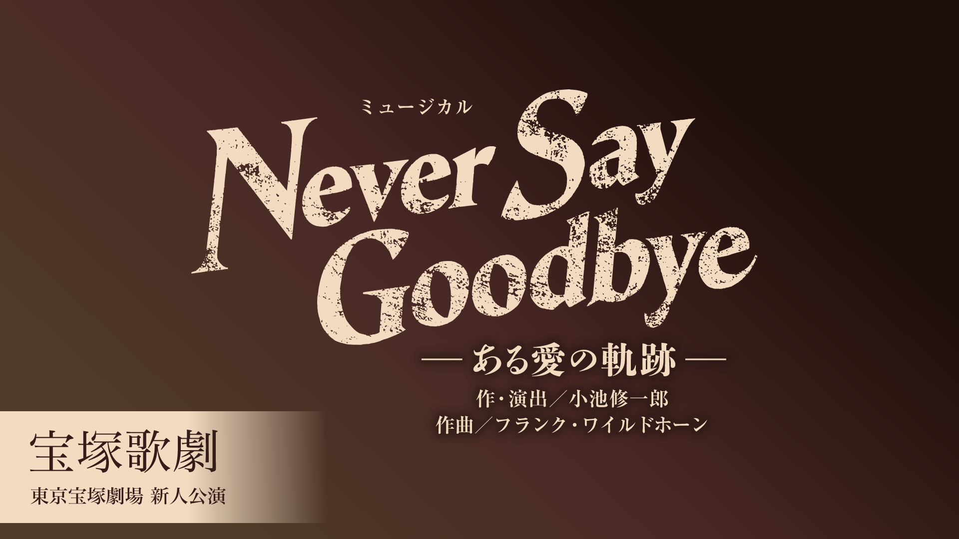 宝塚歌劇 宙組 東京宝塚劇場 新人公演 『NEVER SAY GOODBYE』の画像