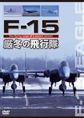 Ｆ－１５　厳冬の飛行隊の画像