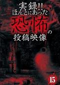 実録！！ほんとにあった恐怖の投稿映像　１５の画像