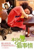 本日の猫事情の画像