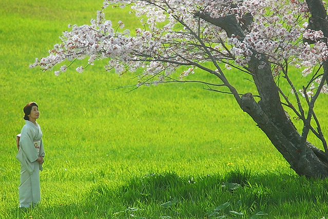 モルエラニの霧の中の画像