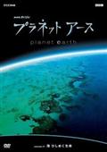 プラネットアース　Ｅｐｉｓｏｄｅ．７　「海　ひしめく生命」の画像