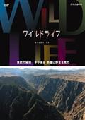 ワイルドライフ　東欧の秘境　タラ渓谷　断崖に野生を見たの画像