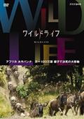 ワイルドライフ　アフリカ大サバンナ　ヌー１００万頭　親子で決死の大移動の画像