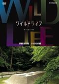 ワイルドライフ　京都法然院　いのちの庭の画像