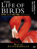 ＴＨＥ　ＬＩＦＥ　ＯＦ　ＢＩＲＤＳ　鳥の世界　環境への適用の画像