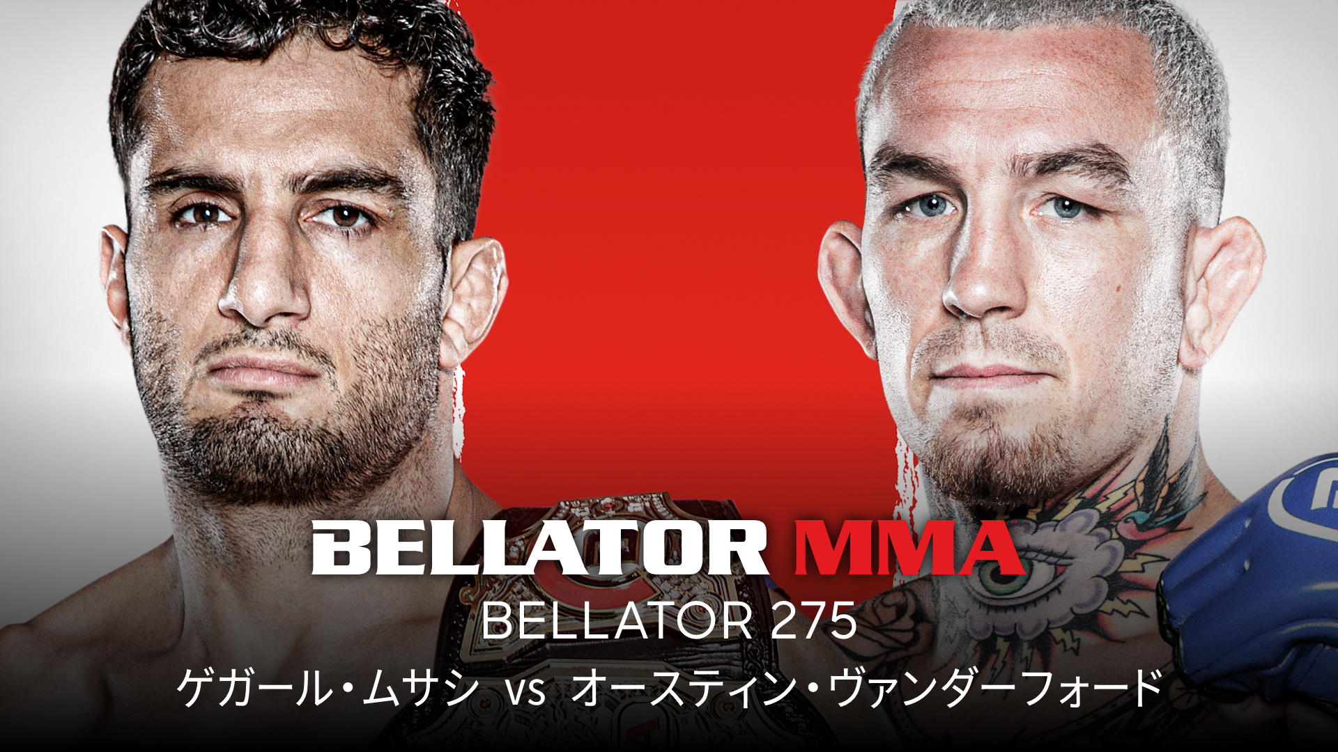 BELLATOR 275の画像