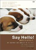 Ｓａｙ　Ｈｅｌｌｏ！［あのこによろしく。］の画像