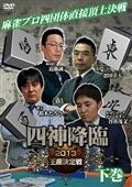 四神降臨　２０１３　王座決定戦　下巻の画像