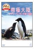 「どうぶつ奇想天外！」ｐｒｅｓｅｎｔｓ　南極大陸・アデリーペンギン子育て物語の画像