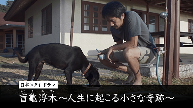 盲亀浮木～人生に起こる小さな奇跡～の画像