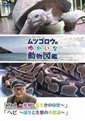 『ムツゴロウのゆかいな動物図鑑』　シリーズ　「カメ　～産卵と長生きの秘密～」　「ヘビ　～誕生と生態の不思議～」の画像