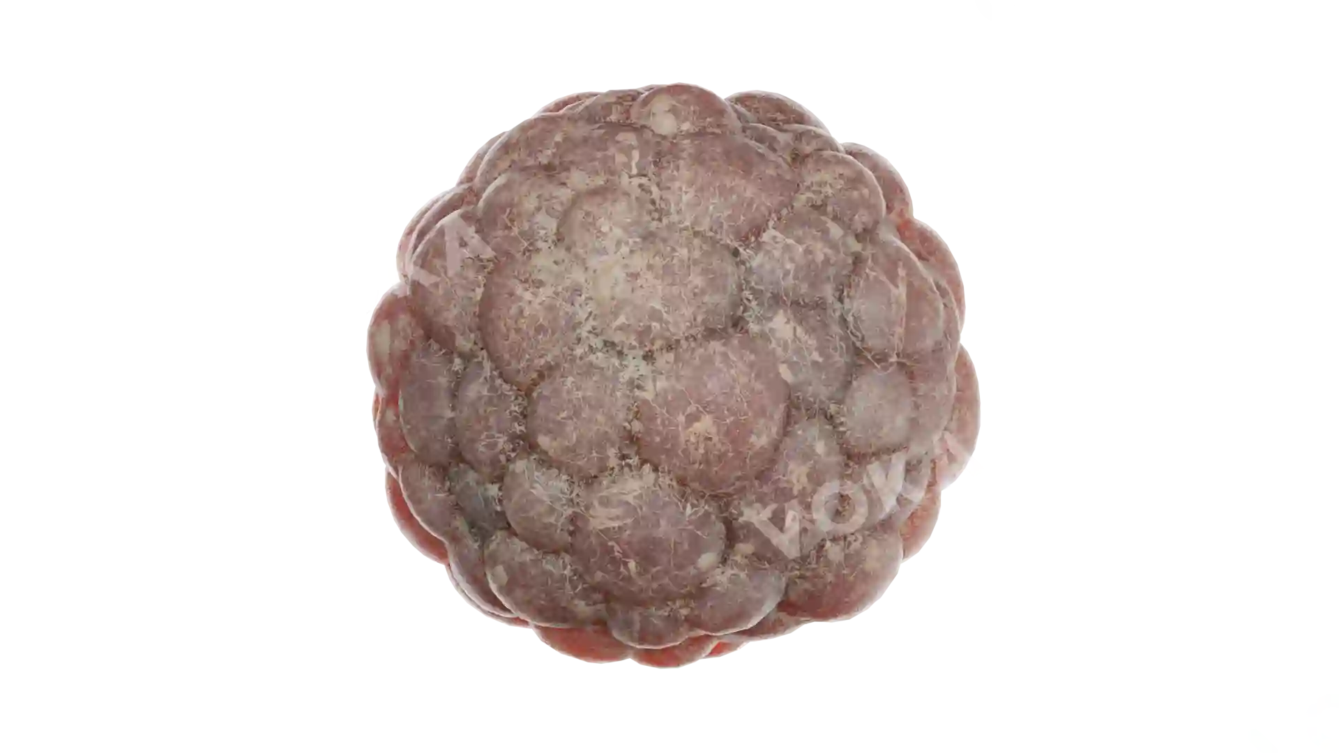 1-week human embryo image