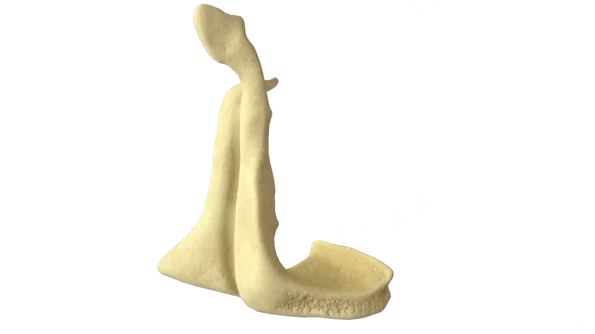 Palatine bone right image
