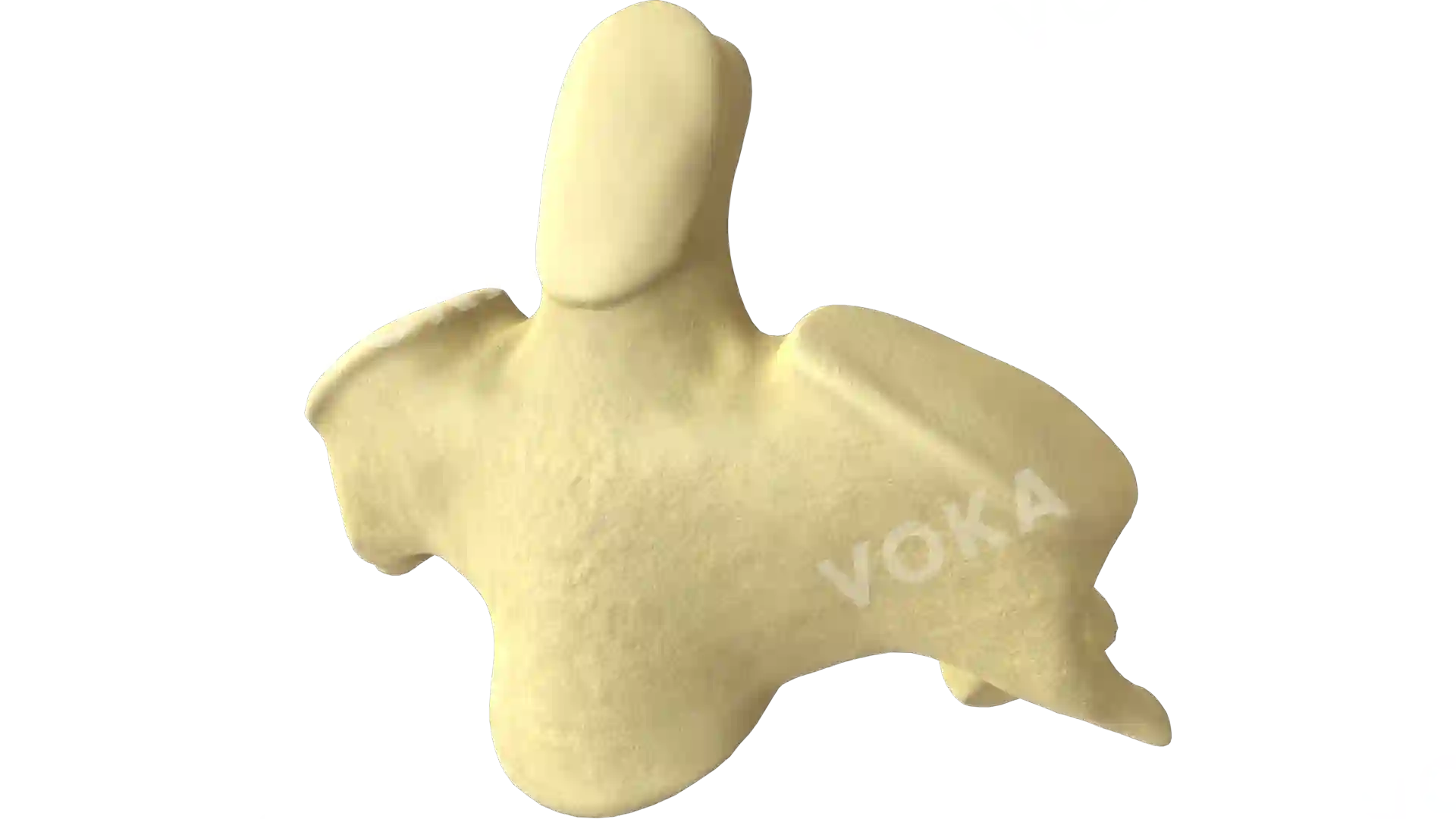 Vertebra C2 (axis) image