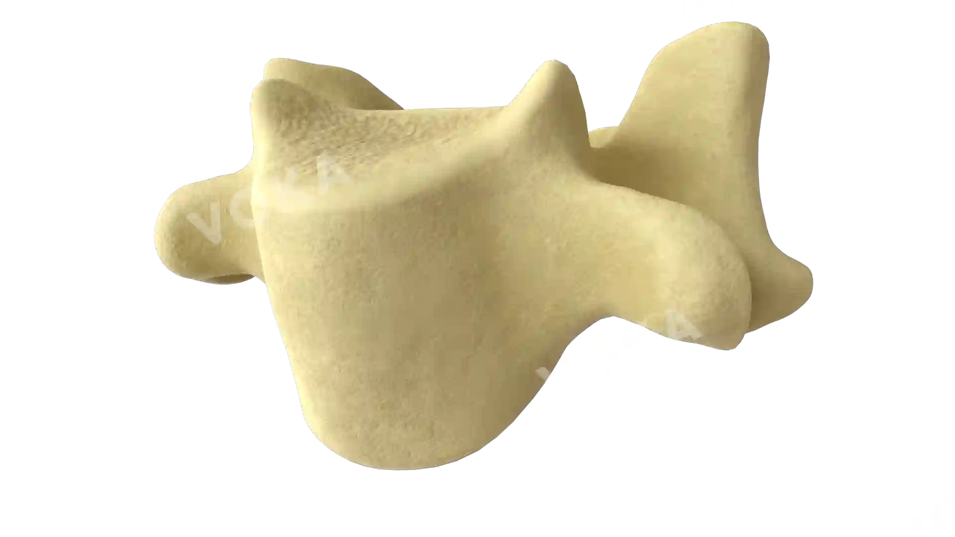 Vertebra C6 image