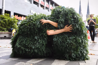 Sapin Sapin ou la forêt mouvante - ANNULATION