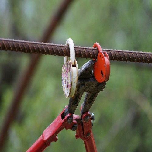 Cengiz Ilhan Seeks Divorce from Diana Morrone in Cook County, Filing Date June 28, 2024