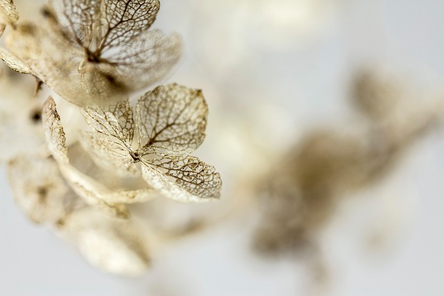 From Promise to Court: Jackson Tomos’ Petition Against Maureen Sullivan in Cook County – November 7, 2025