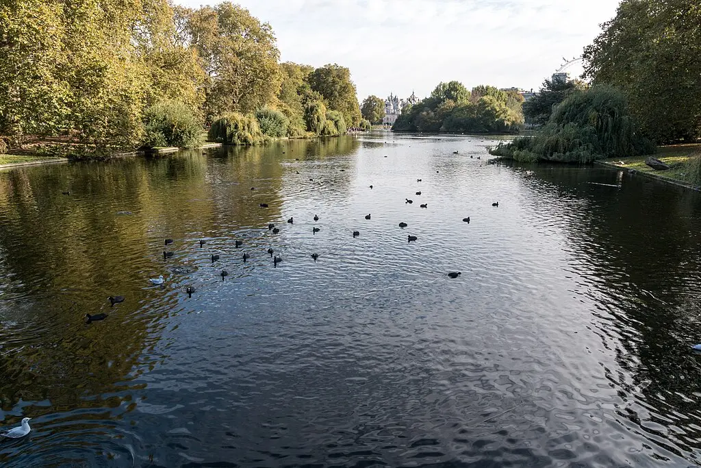 The Royal Parks, London