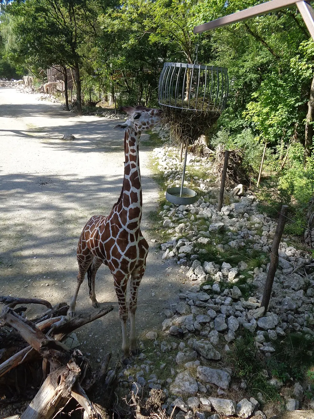 Tierpark Hellabrunn, Munich