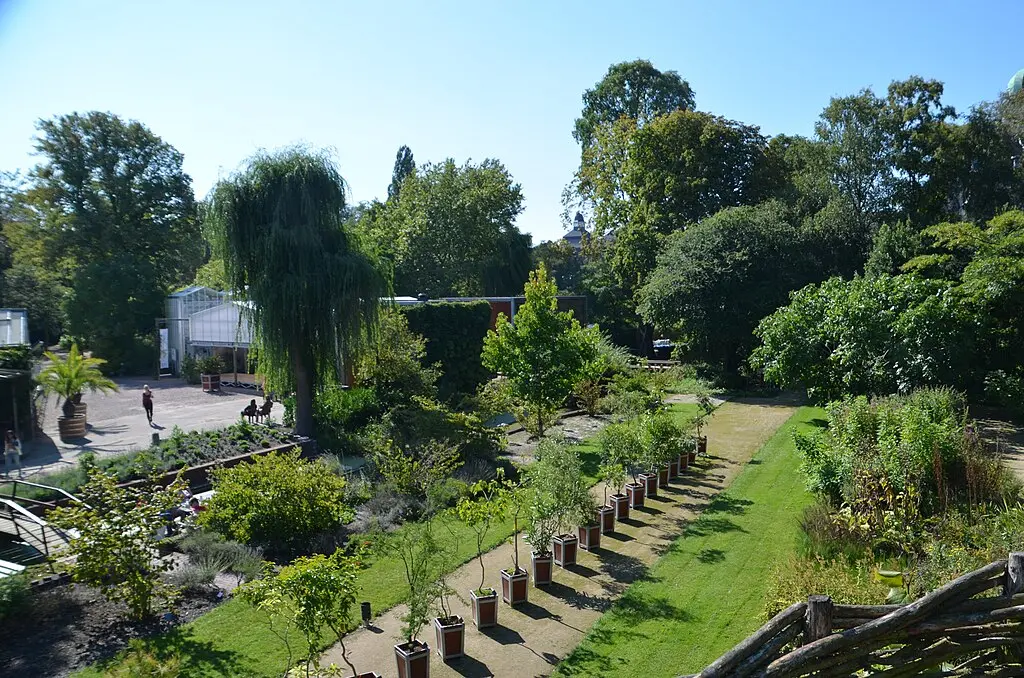 Hortus Botanicus, Delft